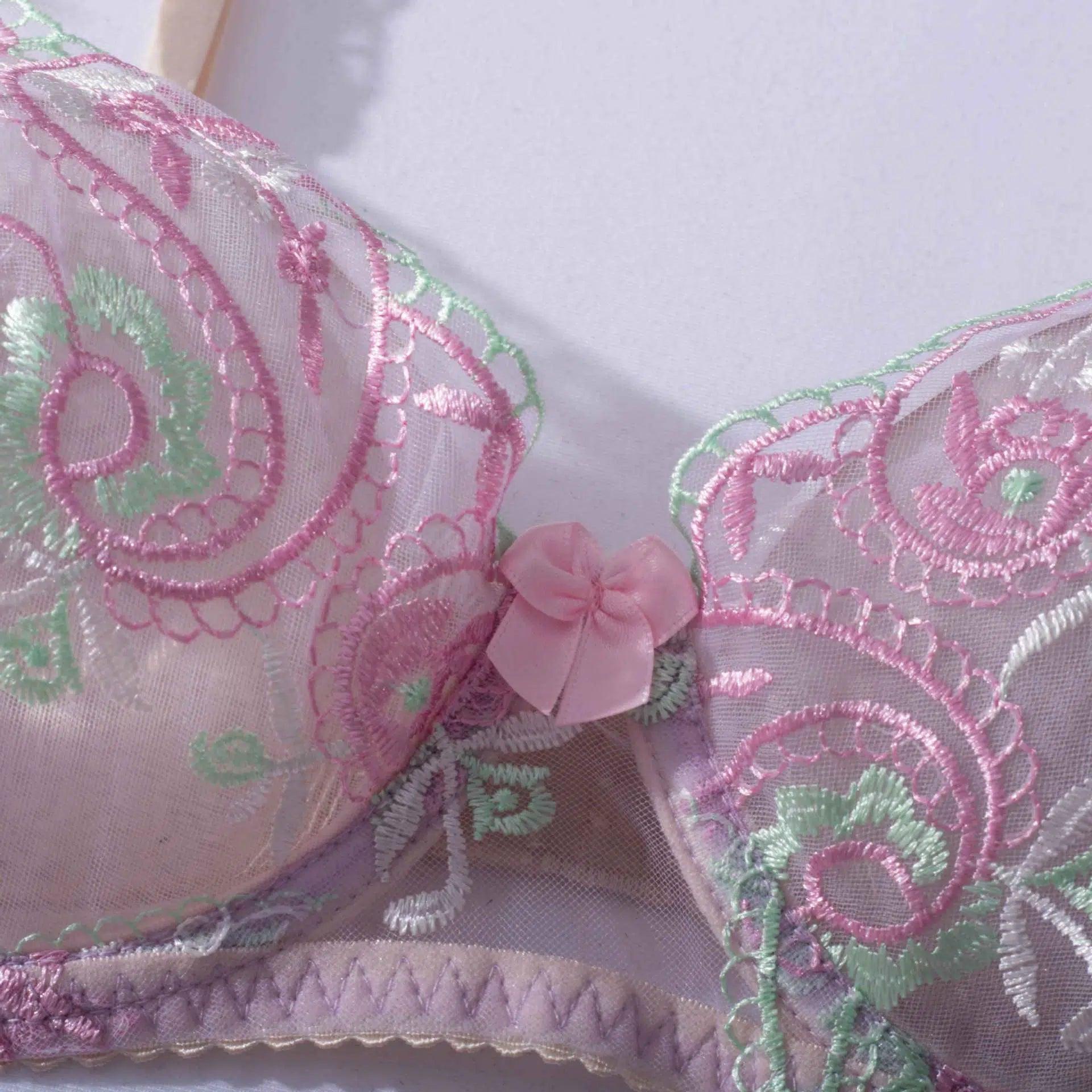 Sheer Mesh Sexy Lingerie Bra Set with Embroidered Flowers - Little Miss Vanilla